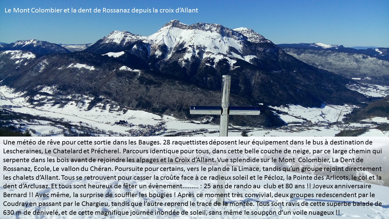 2019 02 15 chalets d allant