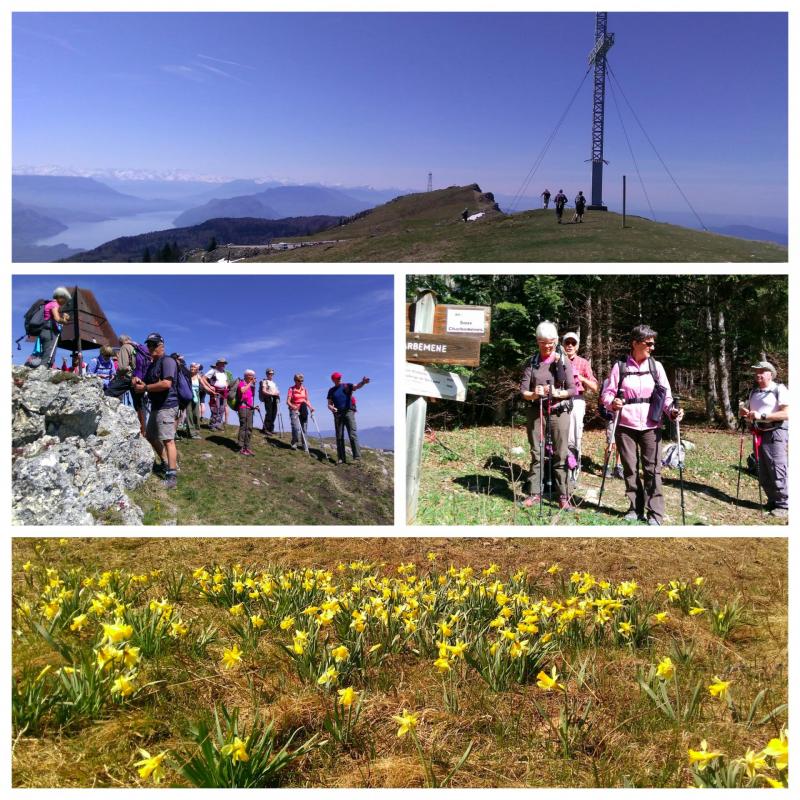 Grand colombier