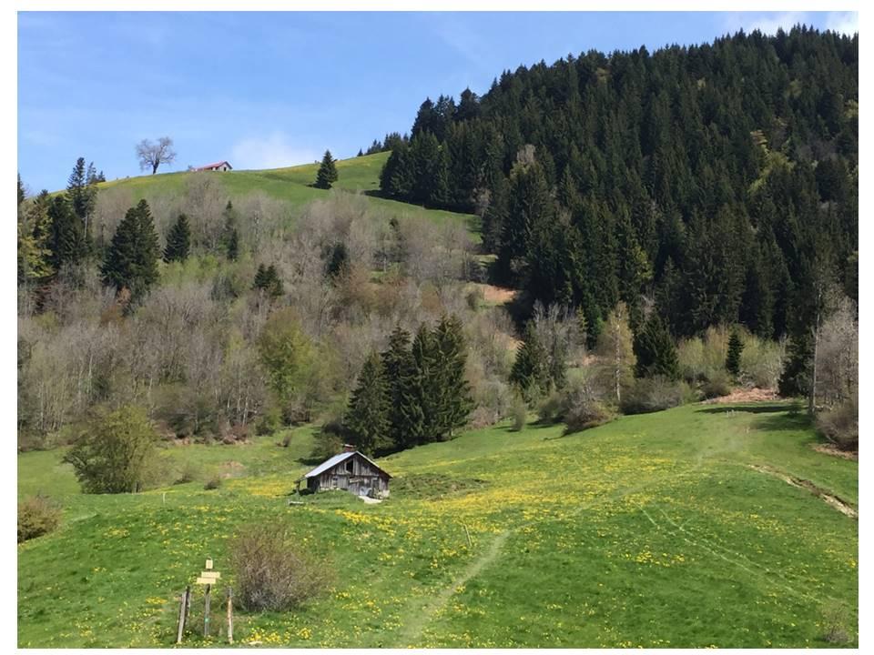 Rando du mardi 21 mai 2019 montagne du lachat 2