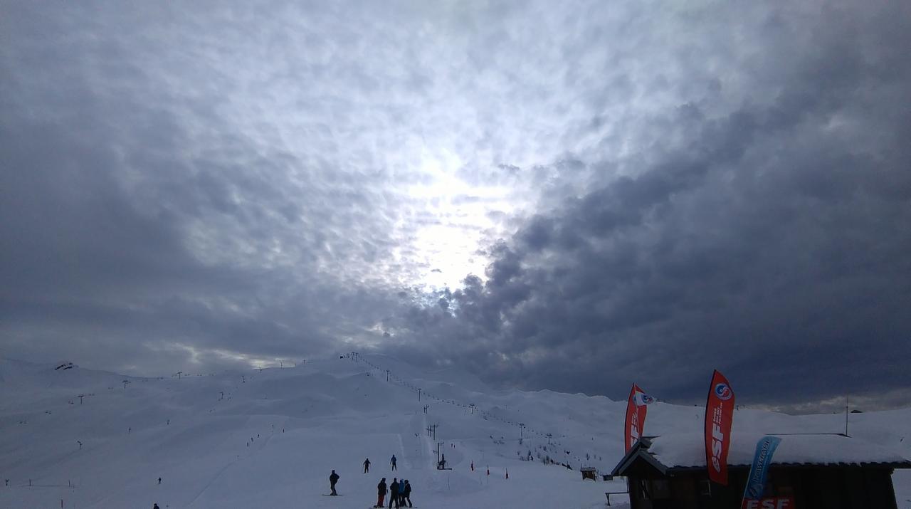 IMAG0775